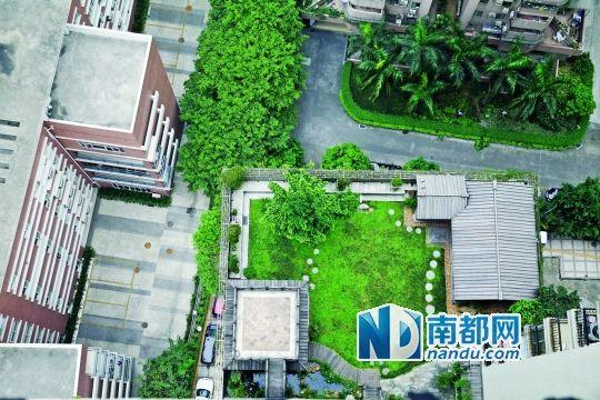 中旅商務大廈的“空中花園”。