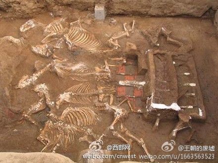 墓穴現(xiàn)場 墓穴現(xiàn)場