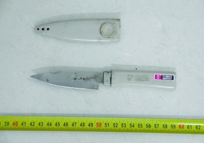 負債男尋死不成 捅死女鄰居謊稱情殺并縱火 負債男尋死不成 捅死女鄰居謊稱情殺并縱火