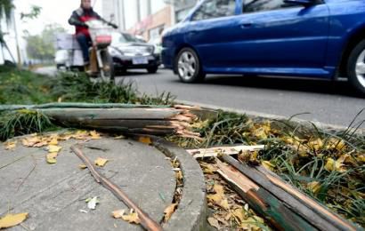 事發(fā)現(xiàn)場(chǎng)，嫌疑車輛撞壞的木樁。