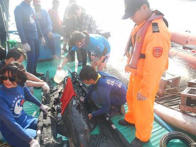 糙齒海豚誤闖漁港傷勢(shì)嚴(yán)重幸被救起(圖) 糙齒海豚誤闖漁港傷勢(shì)嚴(yán)重幸被救起(圖)