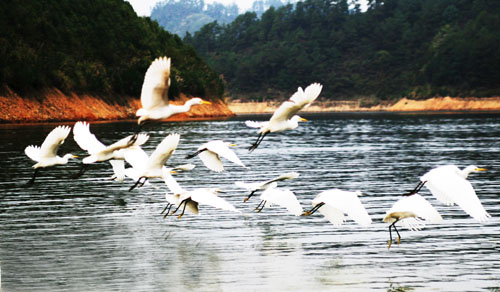 考完去哪兒？千島湖中、高考生門票大優(yōu)惠！