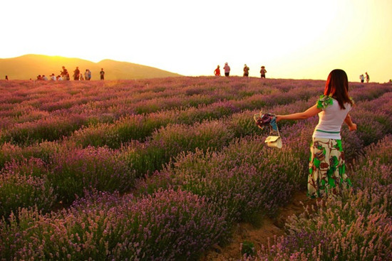 嵖岈山傾情打造中秋節(jié)休閑度假全體驗 嵖岈山傾情打造中秋節(jié)休閑度假全體驗