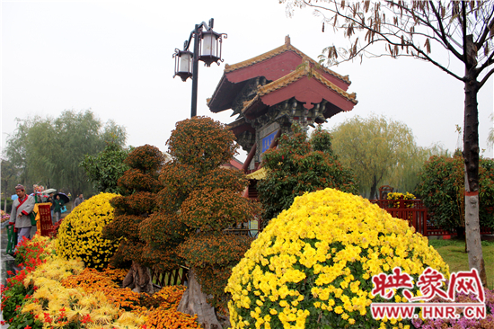 天好、花美 中國開封第32屆菊花文化節(jié)延長一周