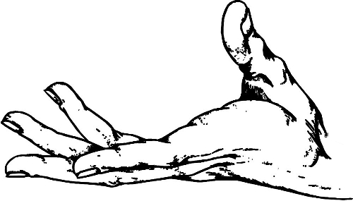 　時(shí)間：拿到通知書，未報(bào)到就可申請