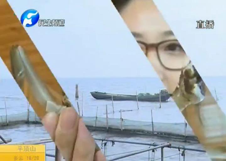 陽澄湖大閘蟹？假的！