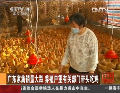 廣東家禽銷量大跌 養(yǎng)殖戶望有關(guān)部門(mén)帶頭吃雞