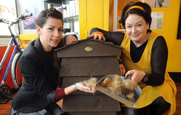 英發(fā)型師喂蠕蟲(chóng)吃頭發(fā) 英發(fā)型師喂蠕蟲(chóng)吃頭發(fā)