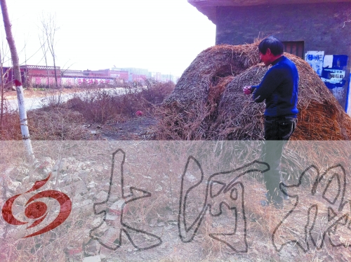 張哥、張弟就是在這兒撿到的投毒面包。