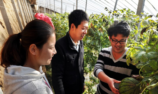 陳國梁(中)和鹿曼(左)在學(xué)習(xí)西瓜的管理 陳國梁(中)和鹿曼(左)在學(xué)習(xí)西瓜的管理